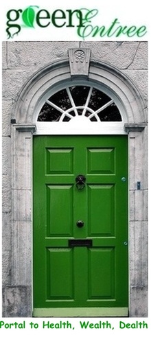Green Door by Raylinkz
